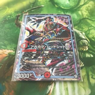 アカカゲ・レッドシャドウ