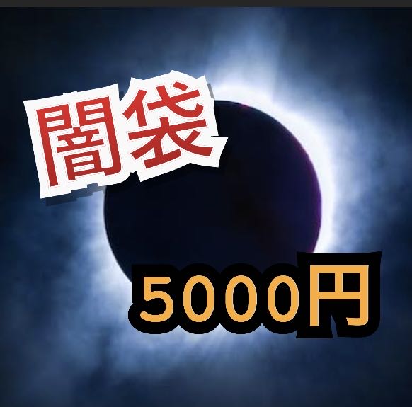 闇袋 5000円 全2口 ② (福袋