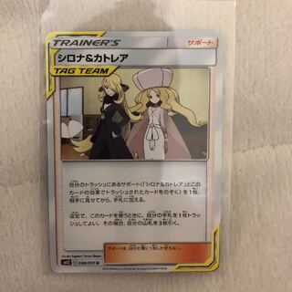 シロナ カトレア