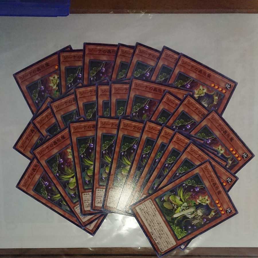 Dedicated to Ms. Iori