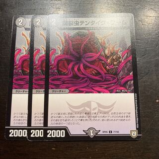 Gastropod Ten Tike Worm