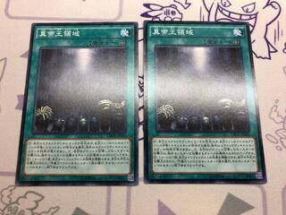 真帝王領域 ノーマル 2枚