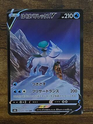 Hakuba Budrex VMAX CSR