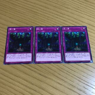 迷い風　ノーマル　3枚セット