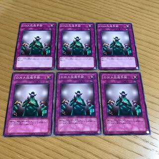 DNA改造手術 ノーマル　６枚セット