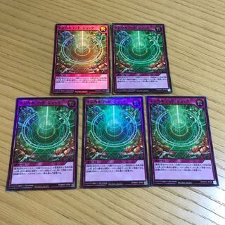 Magical Tet Shock 5-Piece Set