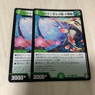 Ritsui Gyo #Sakura #Full Flowering