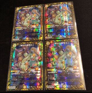 "Knight of the Absolute Shield."