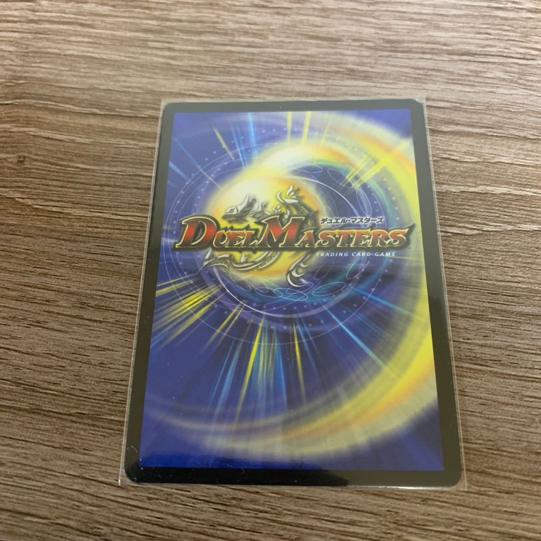 我怒の鎖 パンサーベア SR