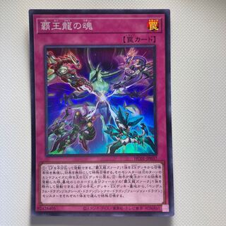 Soul of the Supreme Dragon☆6219