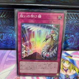 P shop No.300 Bridge of Redeem [Sue].