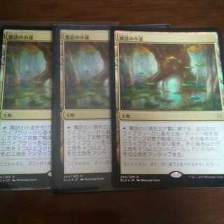 寓話の小道　foil  最安値