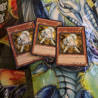 Ryko, Lightsworn Hunter