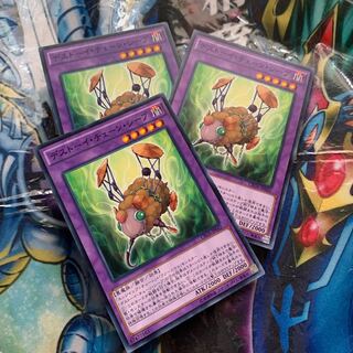 デストーイ・チェーン・シープ ノーマル