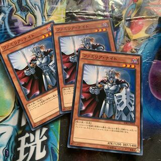 ファミリアナイト