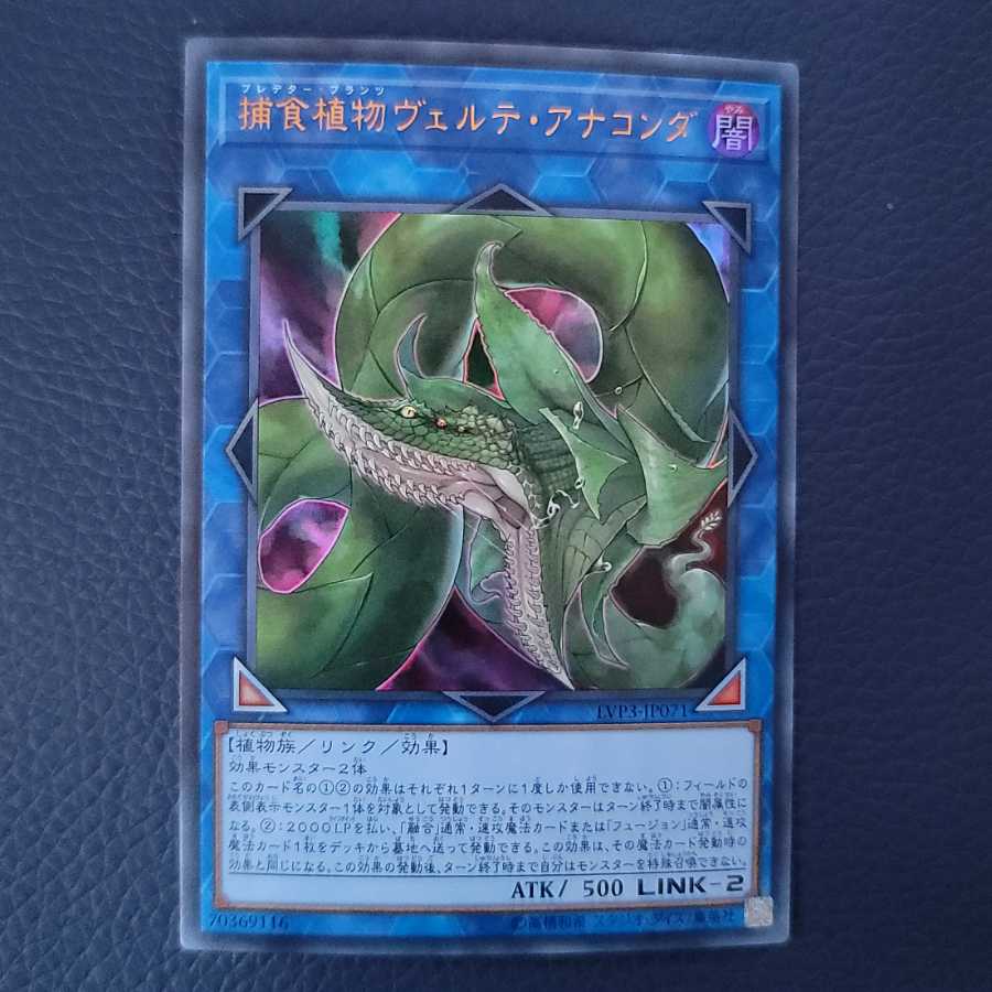 Predaplant Verte Anaconda UR ①.