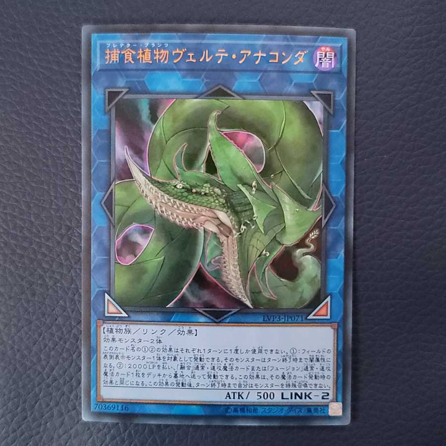 Predaplant Verte Anaconda UR ②