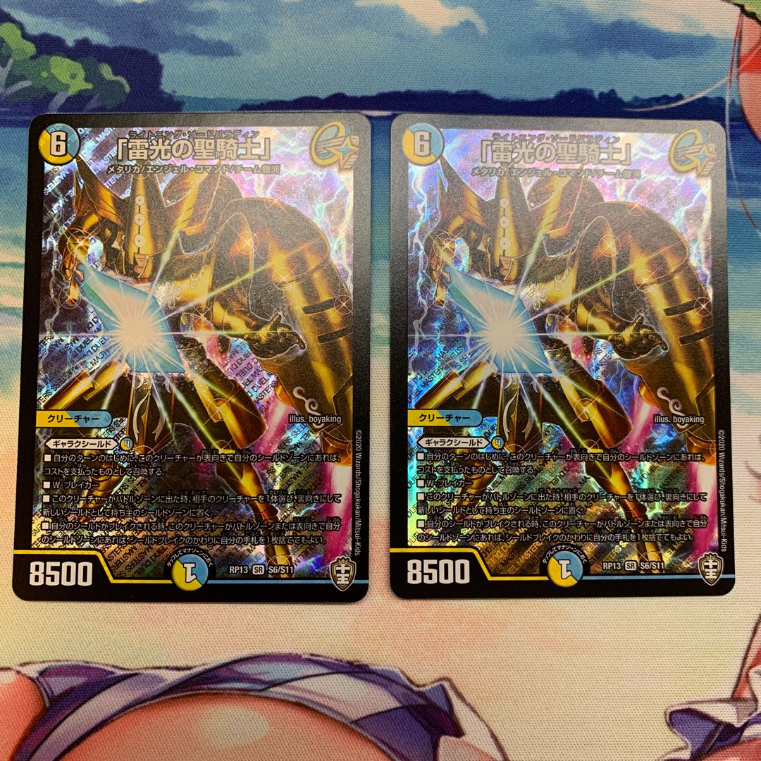 "Holy knight of lightning."