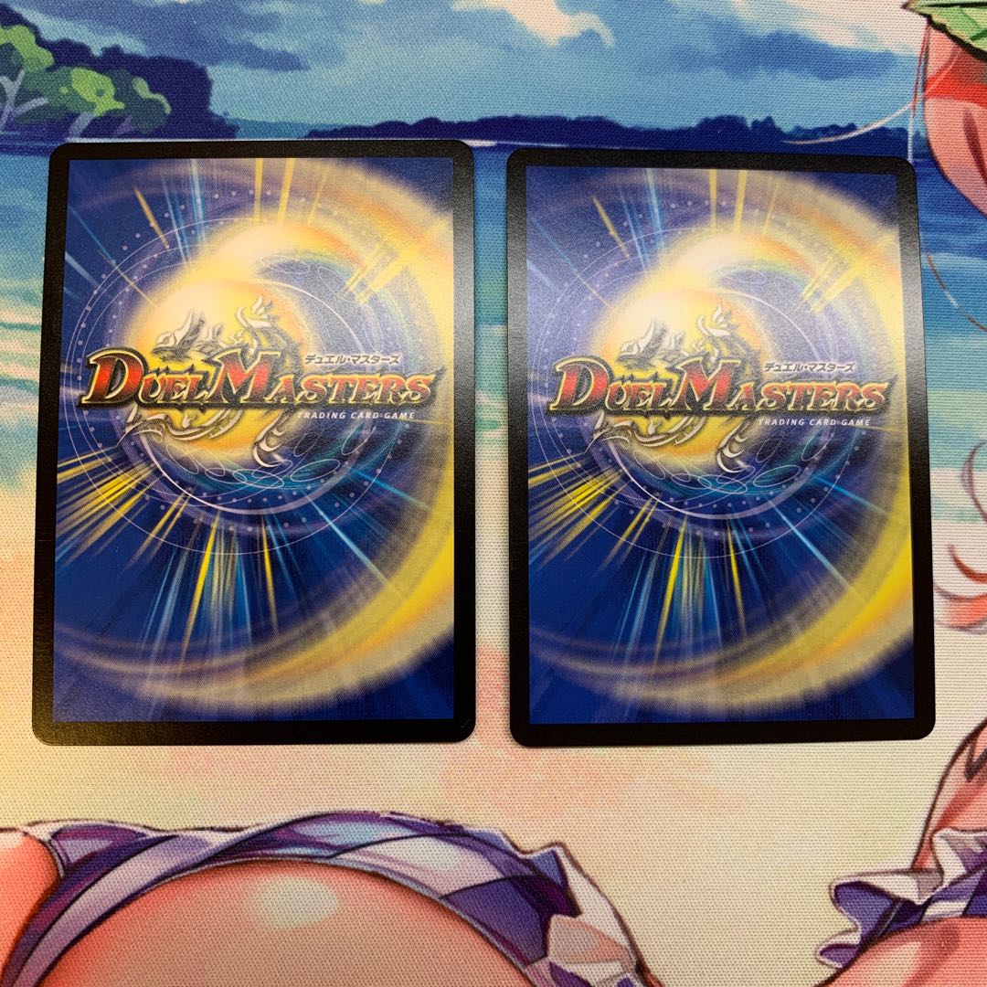 "Holy knight of lightning."