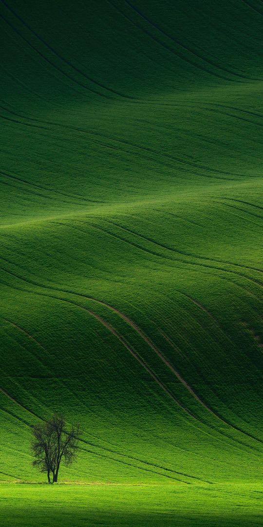 トガヒミコ様専用