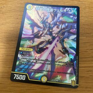 闘門の精霊ウェルキウス