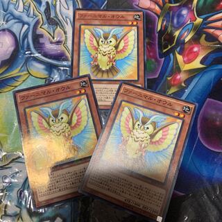 ファーニマル・オウル ノーマル