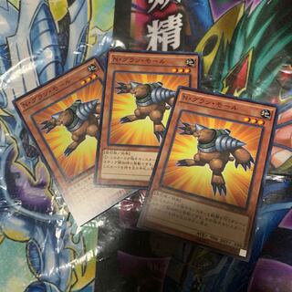 N・グラン・モール ノーマル