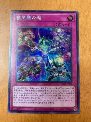 Soul of the Supreme Dragon Secret Rare