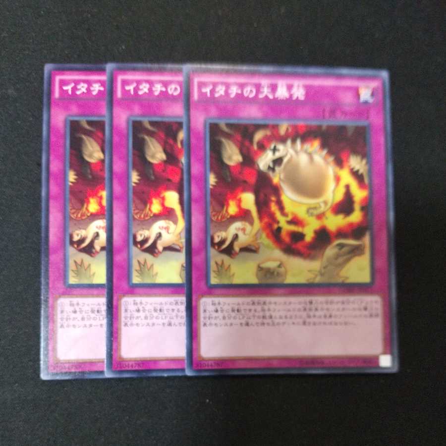 イタチの大暴発 ノーマル