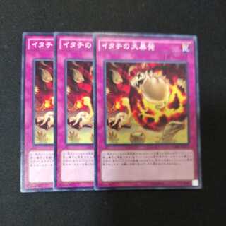 イタチの大暴発 ノーマル