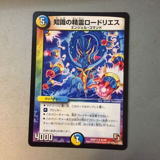 知識の精霊ロードリエス