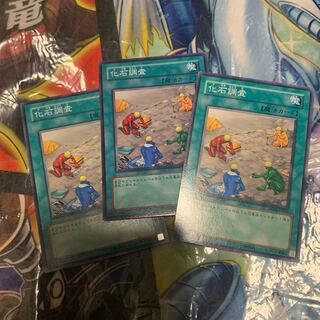 Fossil Excavation Normal