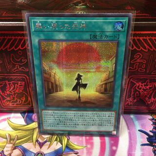 No.359 P shop, The god of death who came back [Siku].