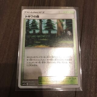 トキワの森（ミラー）