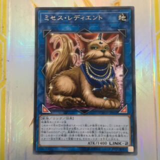 ミセス・レディエント   1枚