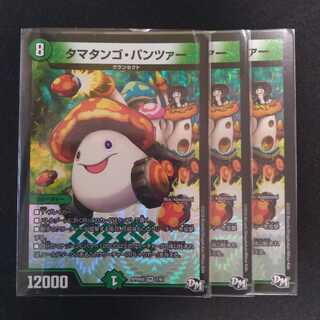 タマタンゴ・パンツァー 3枚