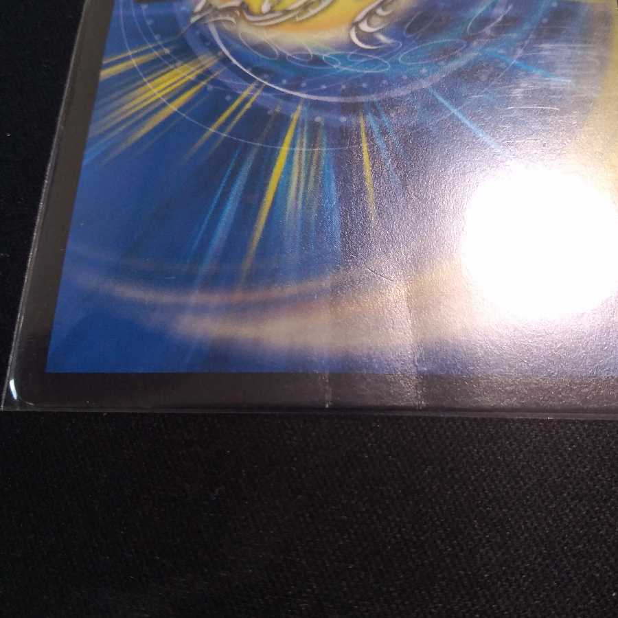 たけだ様専用 界王類七動目 ジュランネル