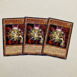 Polymerization Spell Seal Life - Light Normal