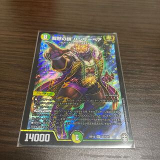 我怒の鎖 パンサーベア