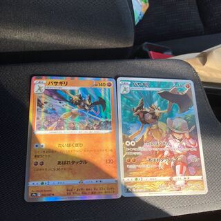 black-capped chickadee (Parus atricapillus)