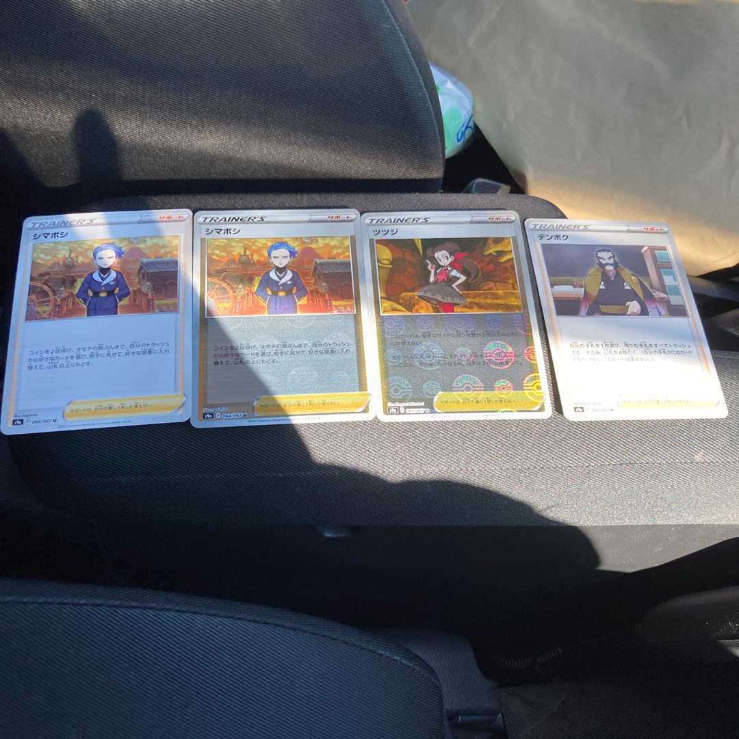 Japanese azalea (Camellia japonica)