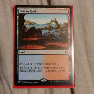 MTG シヴの浅瀬 foil ミントモール / MINT GAMES MTG(東日本橋) / 【OTC】【JPN