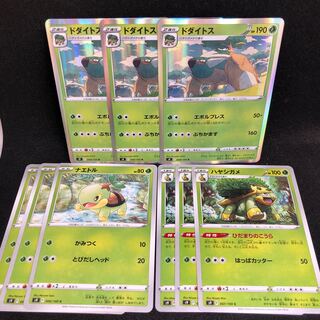 ドダイトス　ナエトル　ハヤシガメ