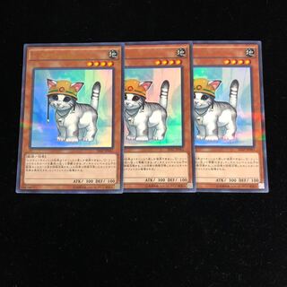 Rescue Cat Parallel Rare Set of 3