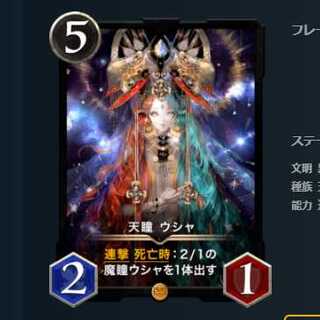 2枚セット 天瞳 ウシャ