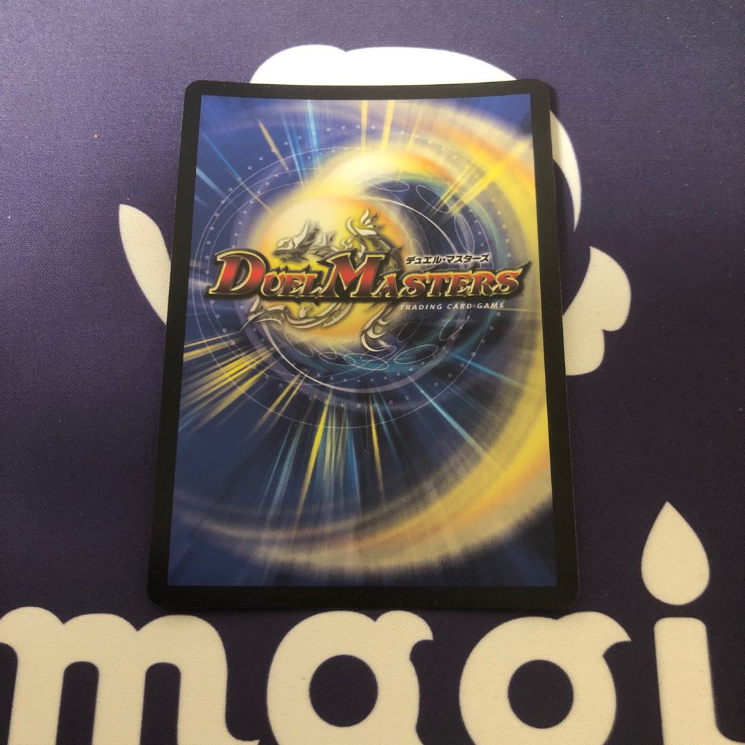 偽りの名 ゾルゲ