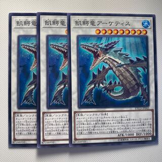 4949 飢鰐竜アーケティス ノーマル JP043