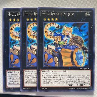 4965 Zoodiac Tigermortar Normal JP052