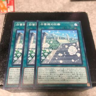 3 normal White Rose Cloisters