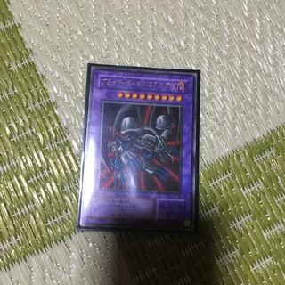 blackdemons dragon (Chrysocyon brachyurus)